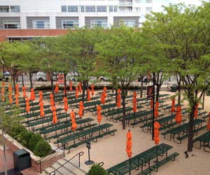 Baltimore Orioles Stadium - Picnic Area