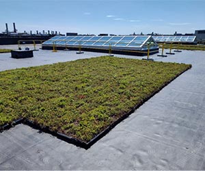 Tobyhanna Army Depot - Building 1D Renovations